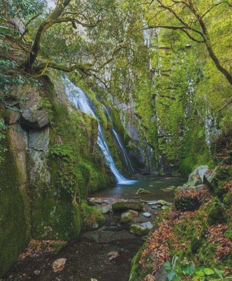 Fonte D' Amandos Bed & Breakfast Арганил Екстериор снимка